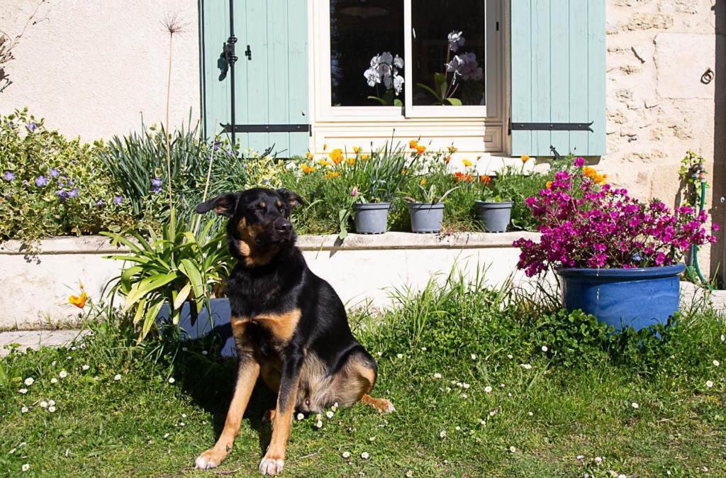 Séjour chez l'habitant La Dorepontaise D'hotes Pondaurat