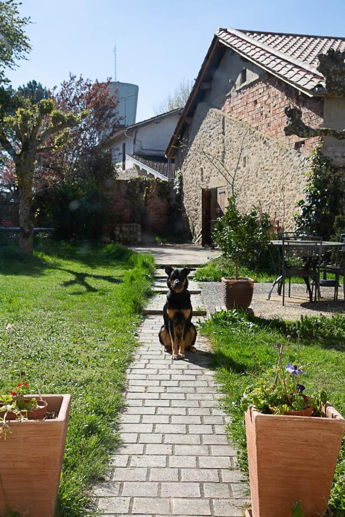 La Dorepontaise D'hotes Séjour chez l'habitant Pondaurat