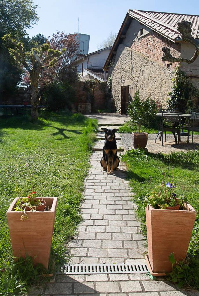 Séjour chez l'habitant La Dorepontaise D'hotes